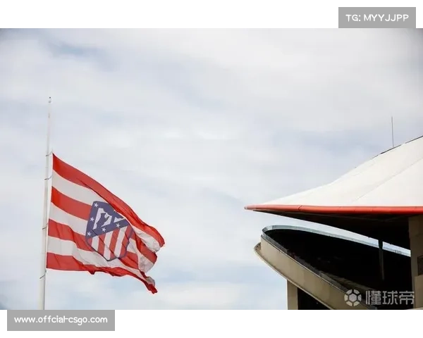 西甲版权招标截止日定于11月28日,结果12月11日公布